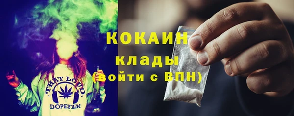 молекула духа Осинники