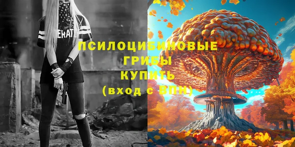 прущий лед Аркадак