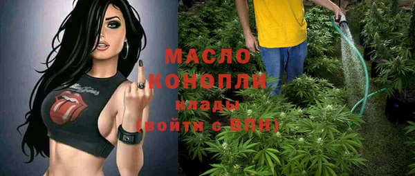 молекула духа Осинники